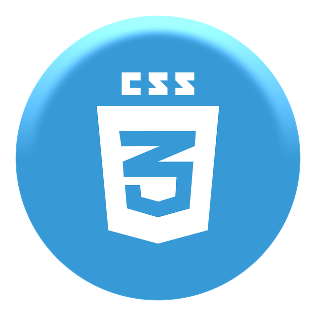 Logo CSS3